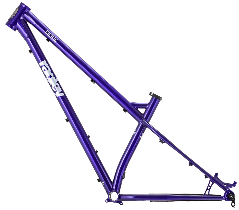 Ragley Big Wig Frame - Purple/ Silver-8